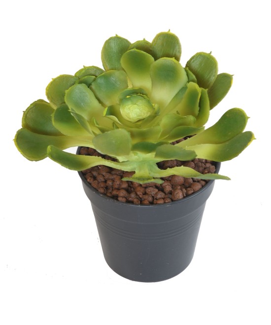 Artificial ALOE SOFT
