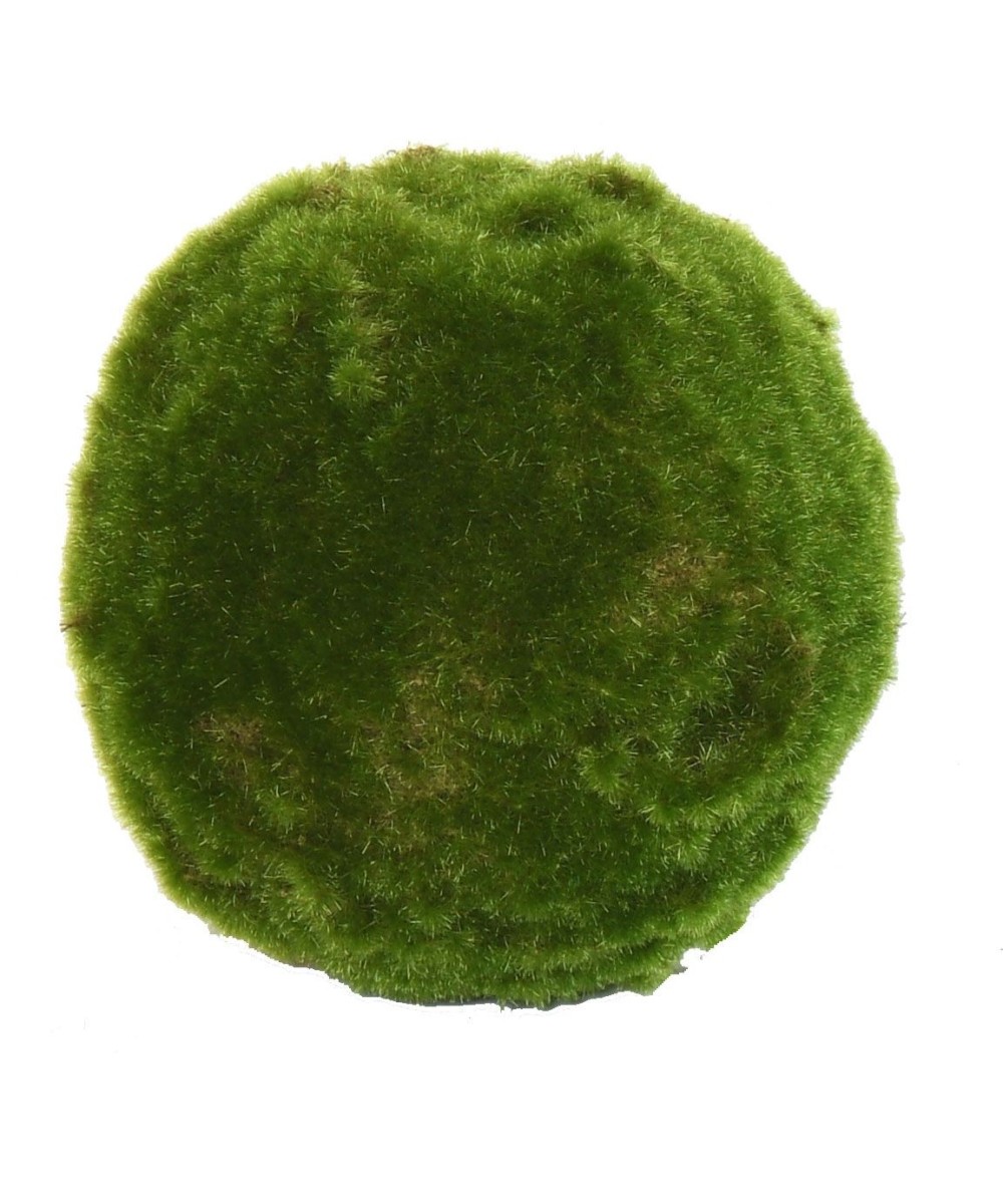 Artificial MOSS BALL