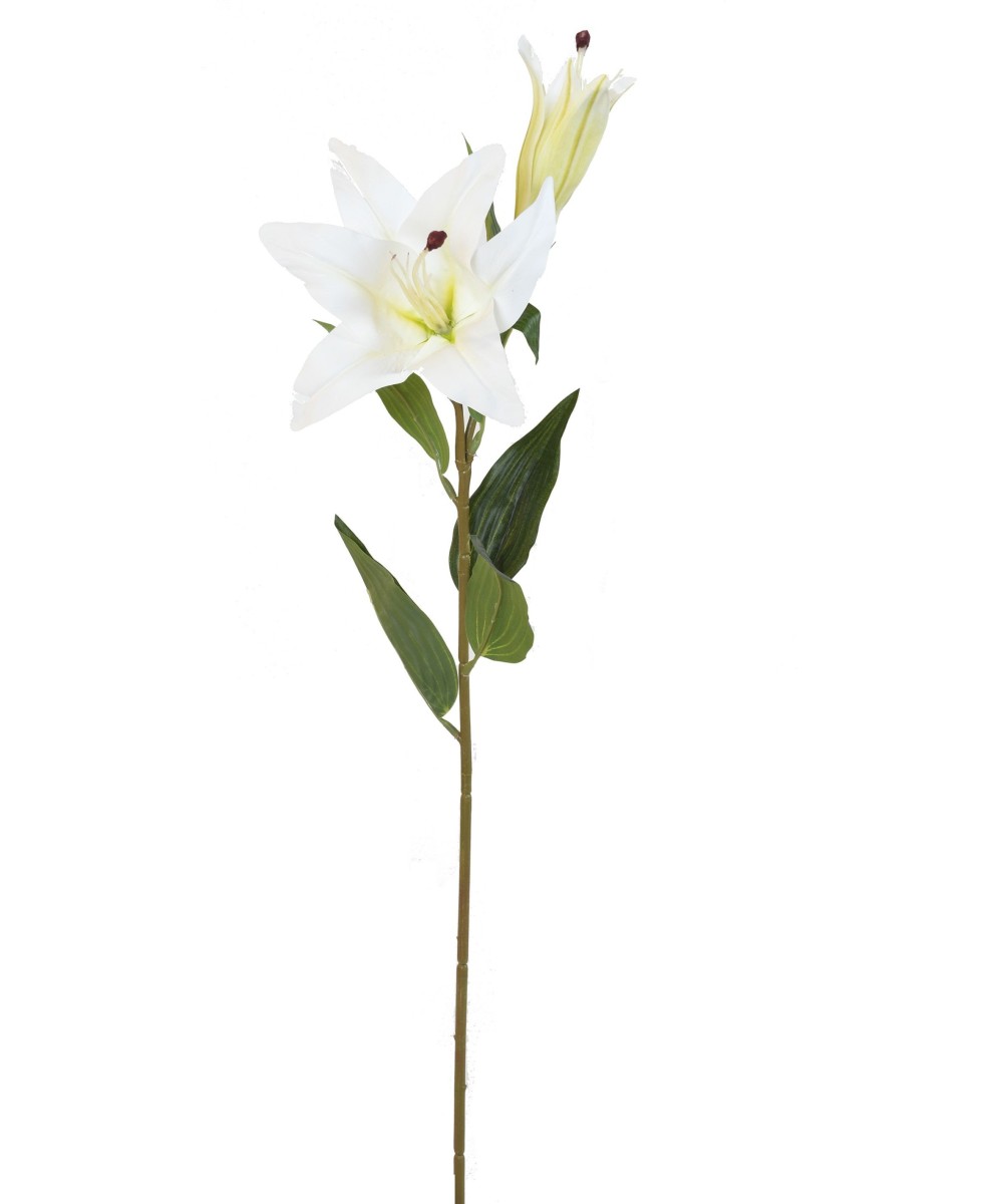 Artificial LILY 1F 1B