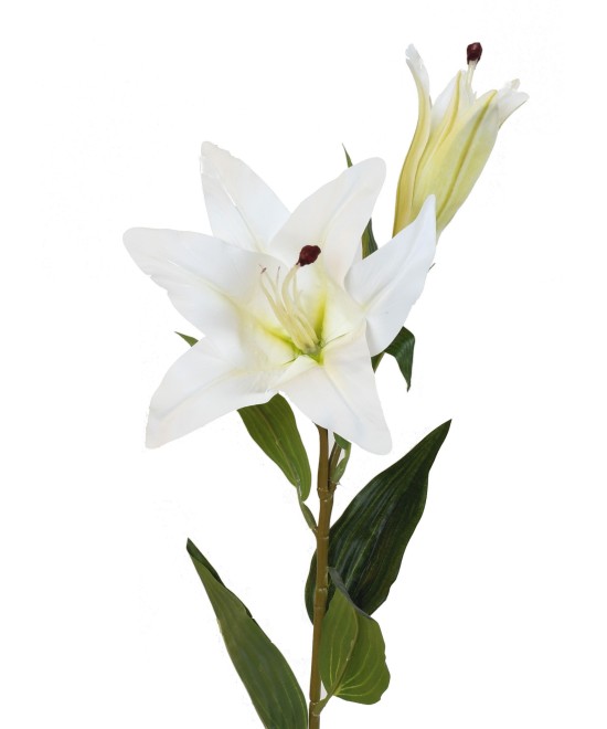 Artificial LILY 1F 1B