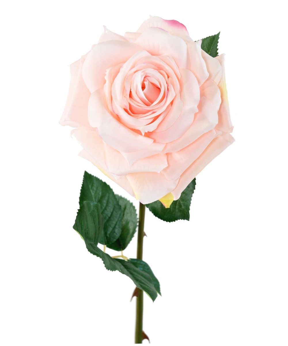 Artificial ROSE