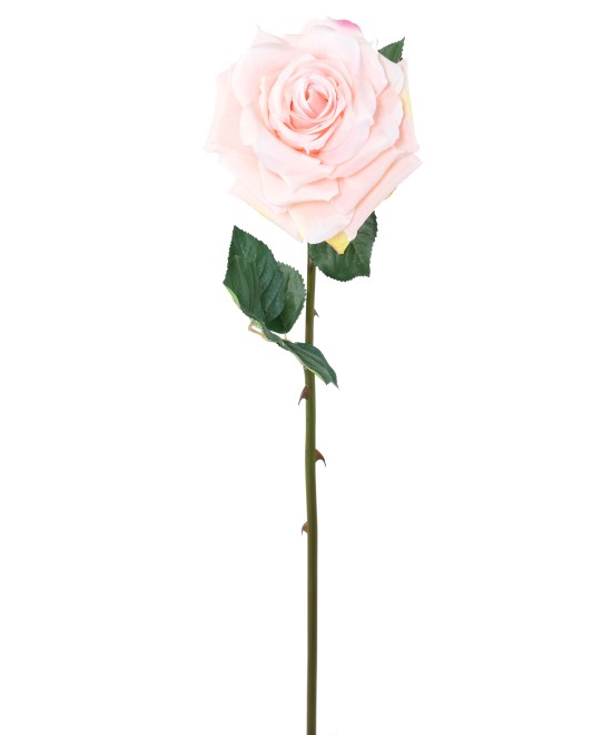 Artificial ROSE