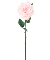 Artificial ROSE