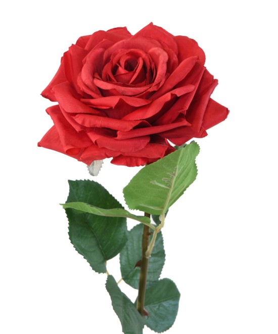 Artificial ROSE