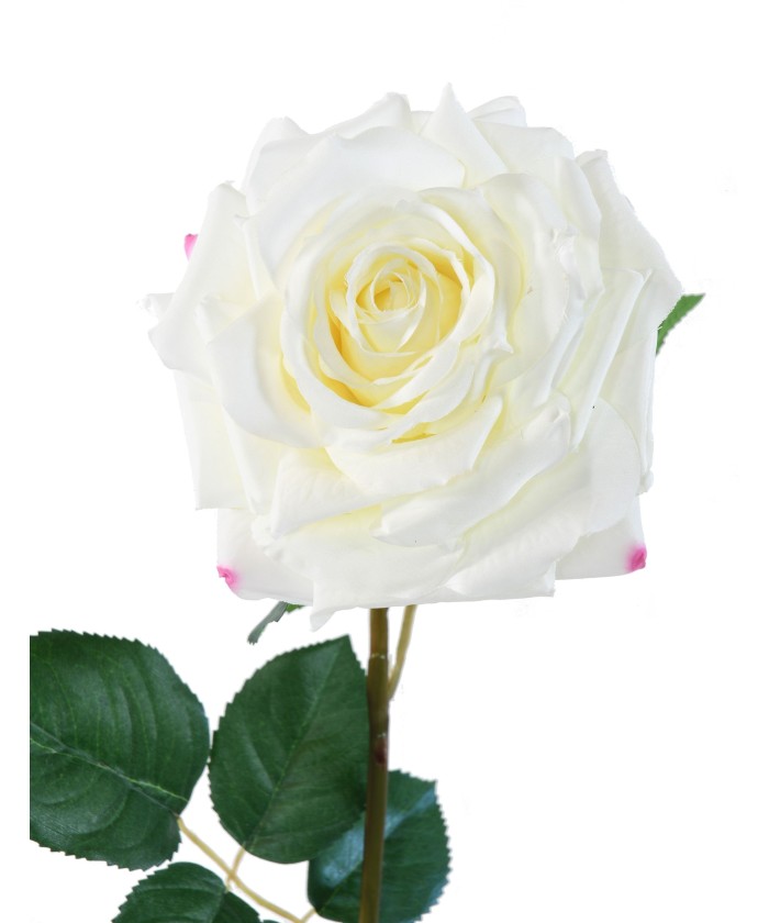Artificial ROSE