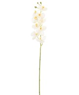 Artificial PHALAENOPSIS ORCHID 77