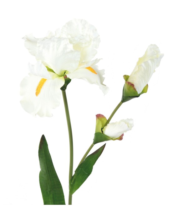 Kunstlik IRIS