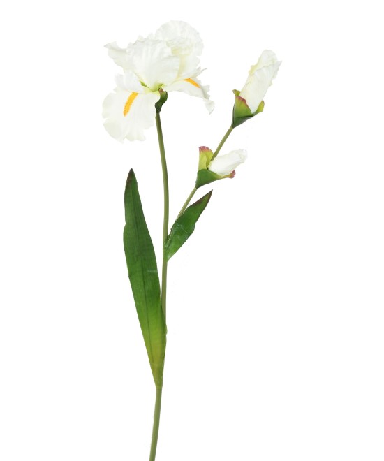 Kunstlik IRIS
