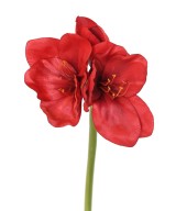 Kunstlik AMARYLLIS