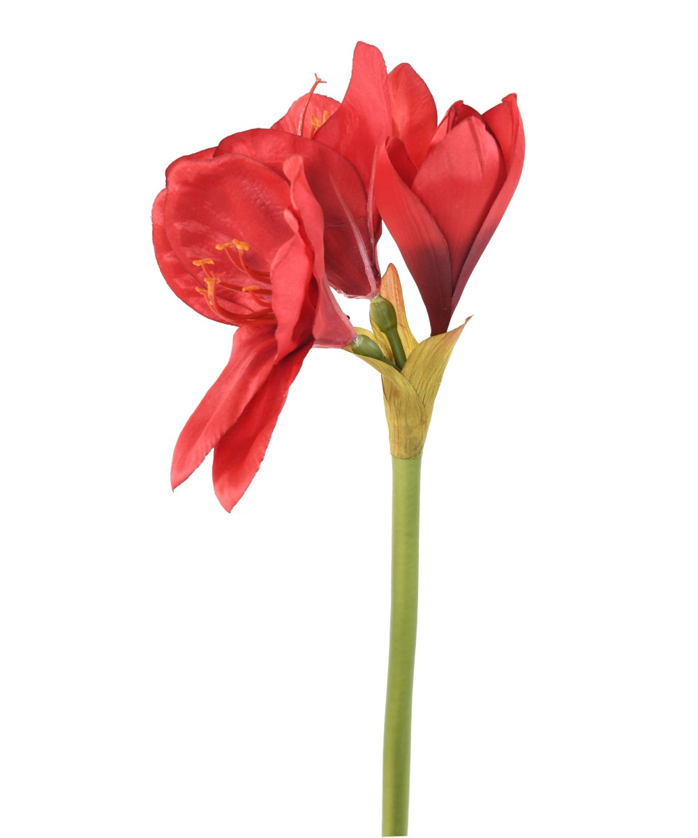 Kunstlik AMARYLLIS