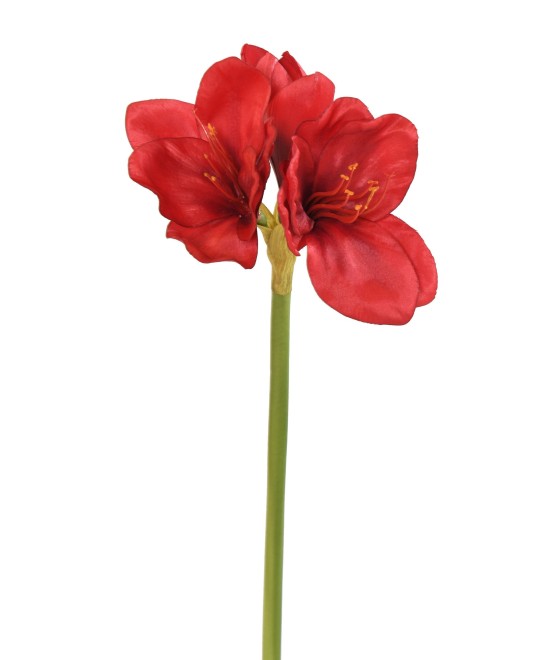 Kunstlik AMARYLLIS