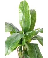 Artificial BANANA TREE THREE TRUNKS