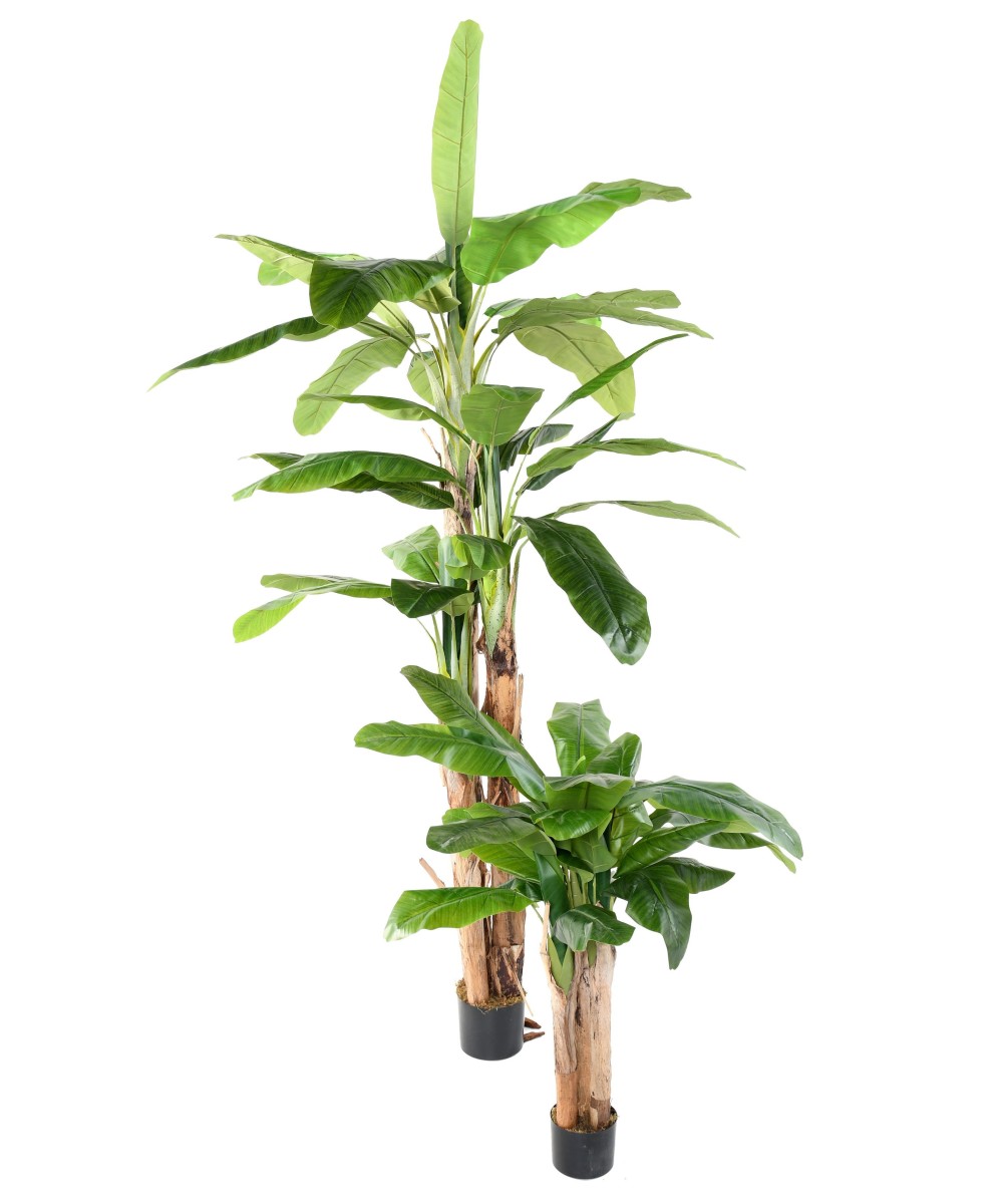 Artificial BANANA TREE THREE TRUNKS