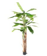 Artificial BANANA TREE THREE TRUNKS