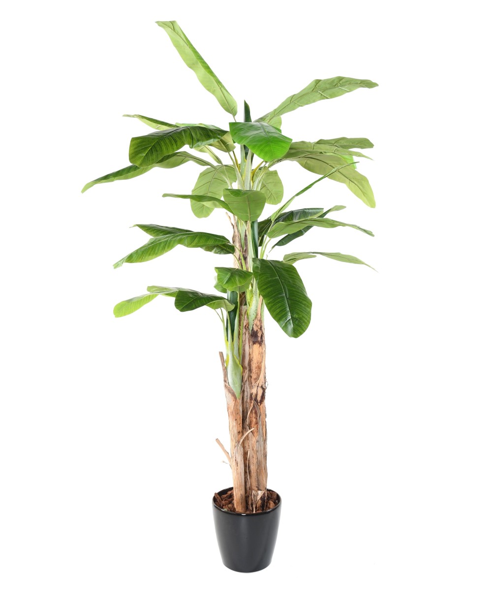 Artificial BANANA TREE THREE TRUNKS