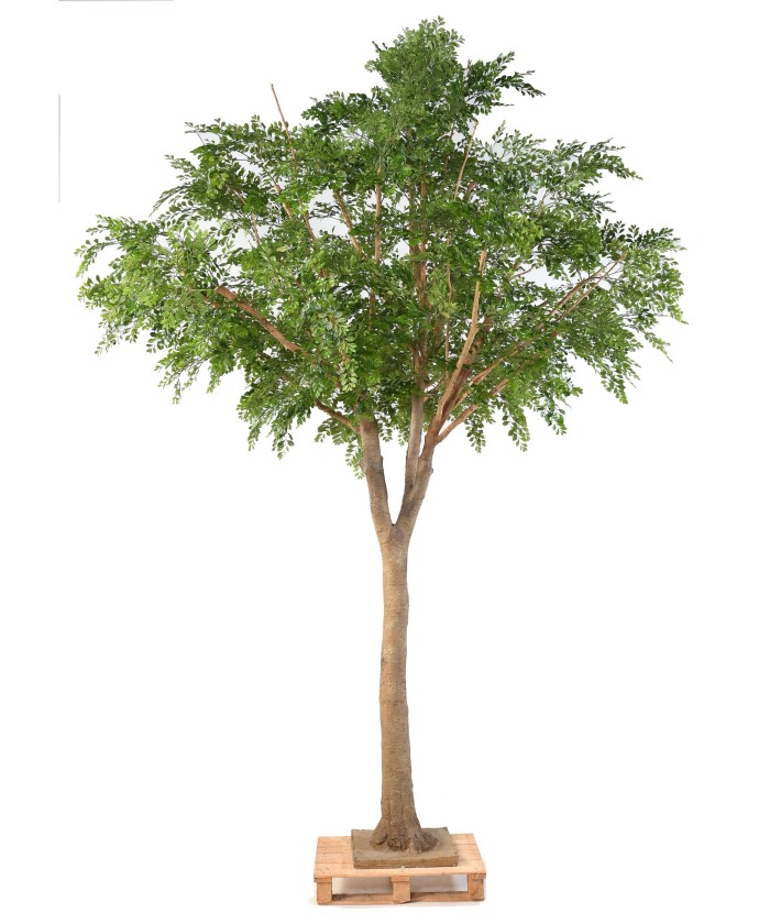 Artificial BUCIDA