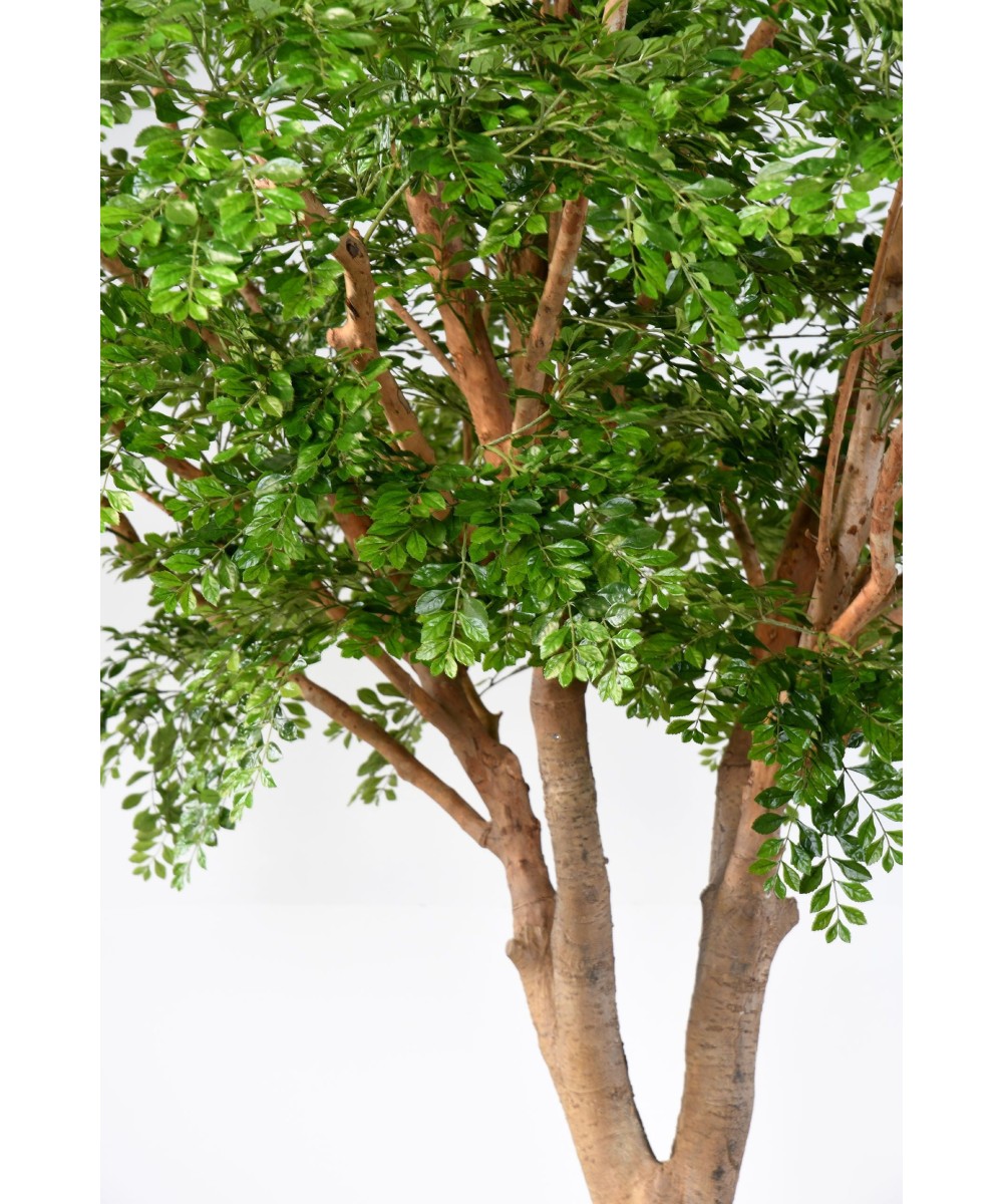 Artificial BUCIDA