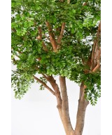 Artificial BUCIDA