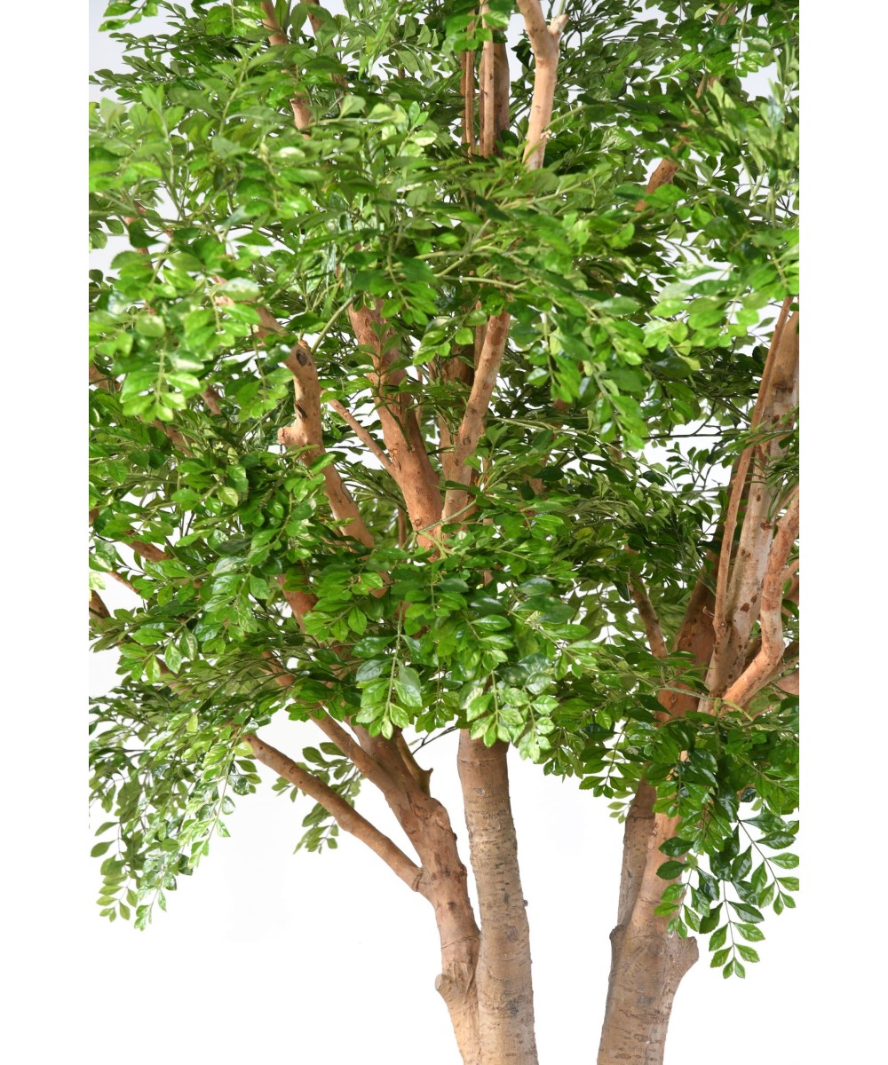 Artificial BUCIDA