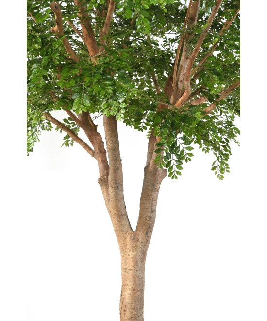 Artificial BUCIDA
