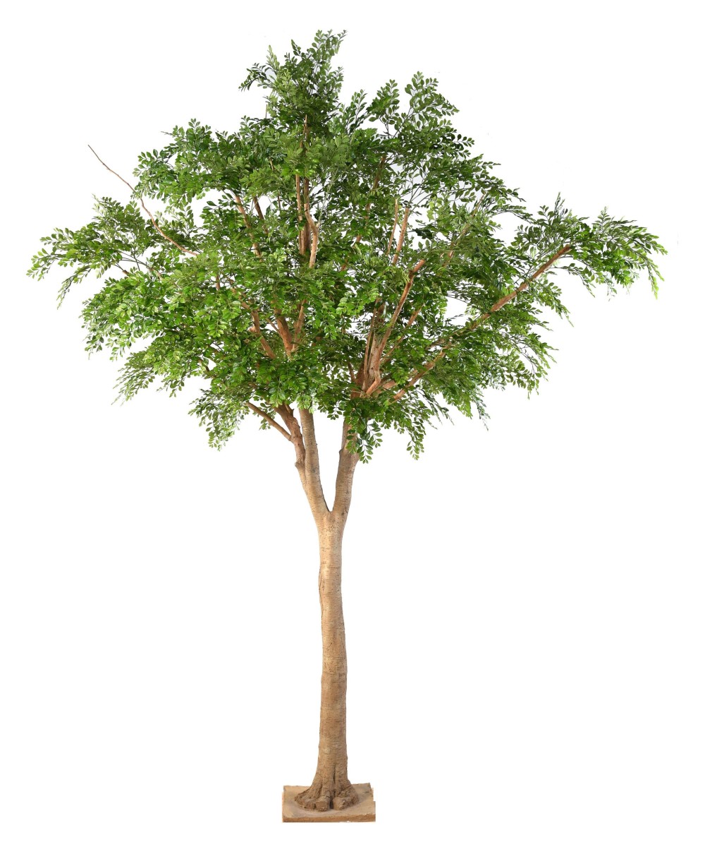 Artificial BUCIDA