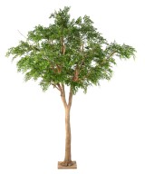 Artificial BUCIDA
