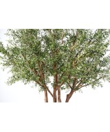 Artificial OLIVE TREE NC