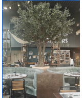 Artificial OLIVE TREE NC
