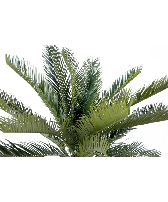 Artificial cycas TRUNK
