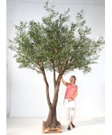 Artificial OLIVE TREE NC