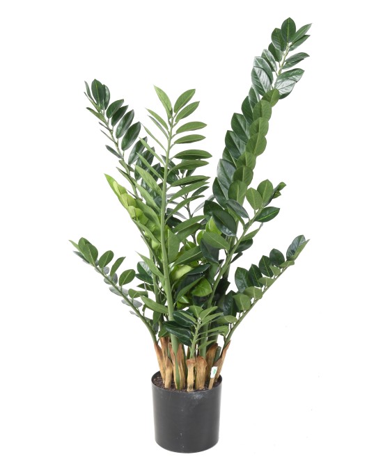 Kunstlik zamia 110