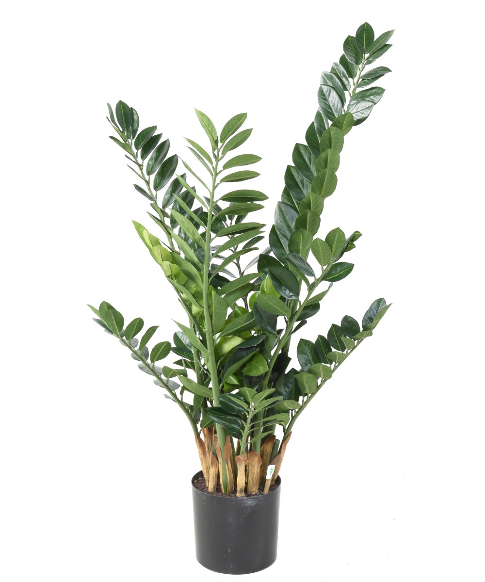 Kunstlik zamia 110