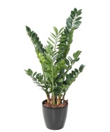 Kunstlik zamia 110