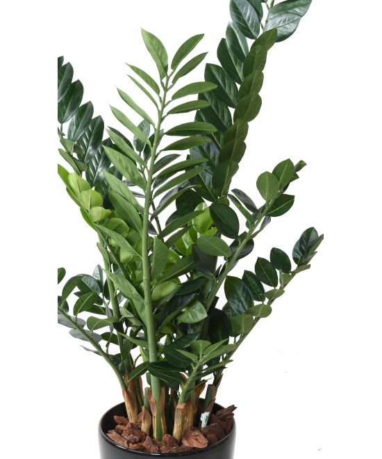 Kunstlik zamia 110