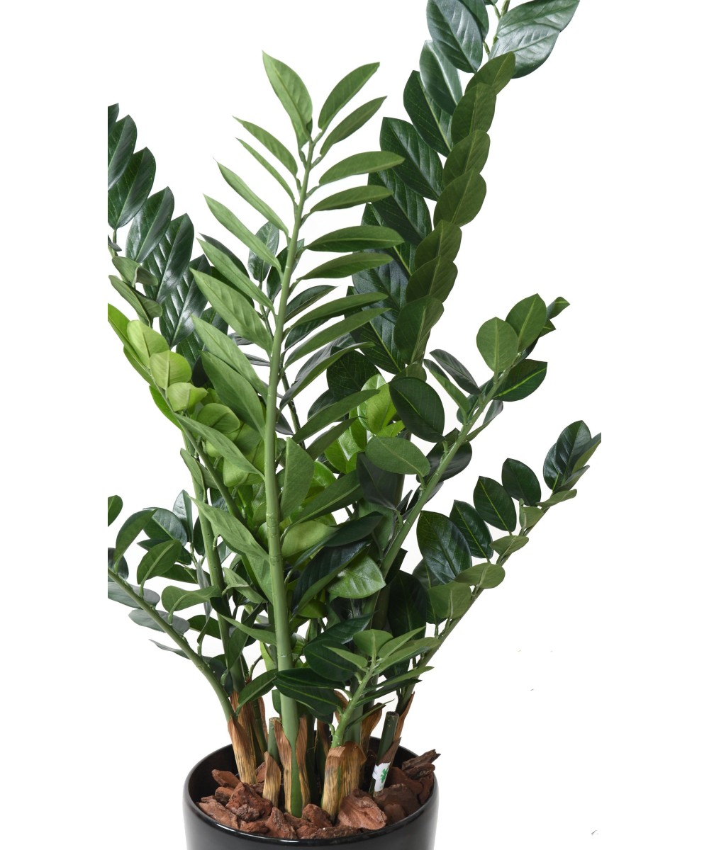 Kunstlik zamia 110