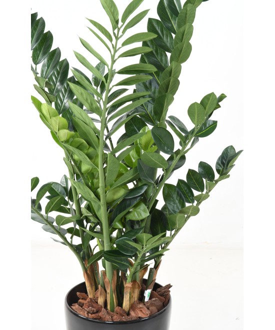 Kunstlik zamia 110