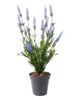 Artificial Lavender