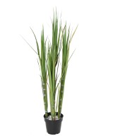 Artificial sugar cane