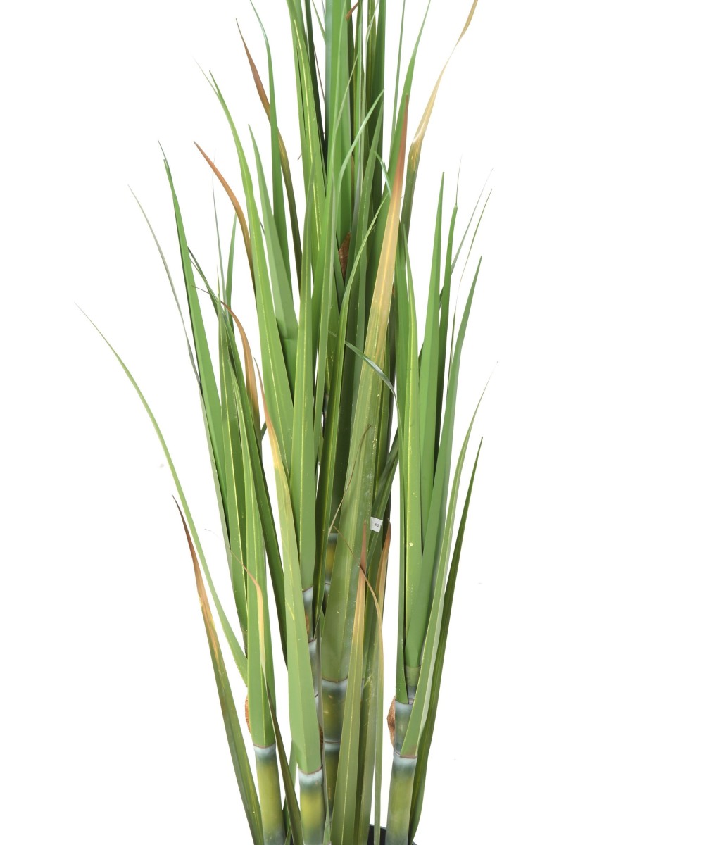Artificial sugar cane
