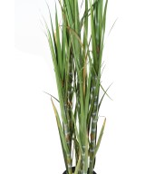 Artificial sugar cane