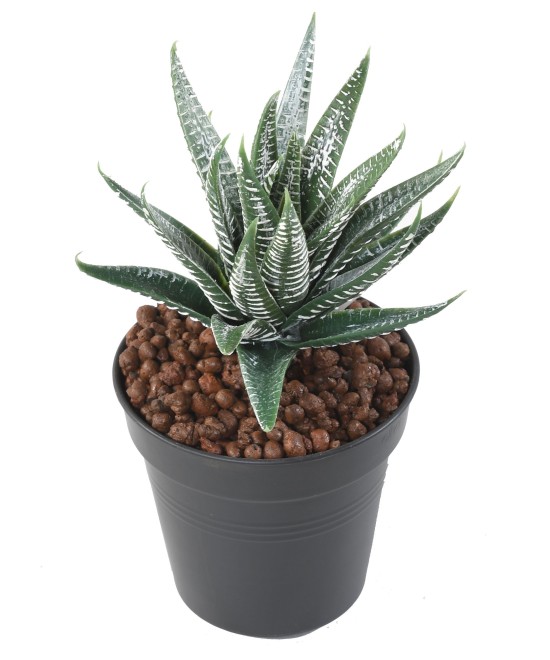 Artificial aloe