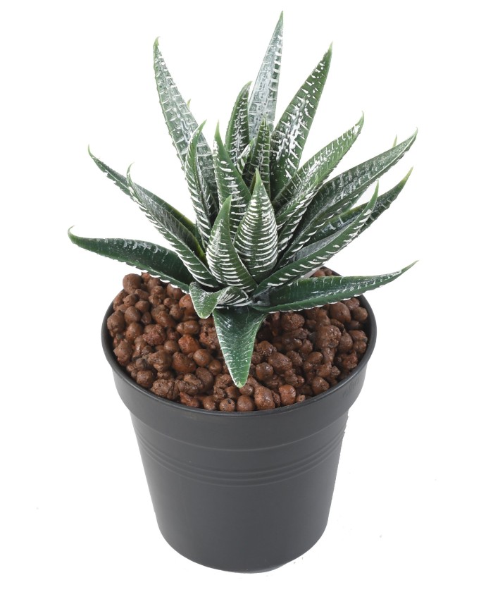 Artificial aloe
