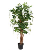 Artificial WISTERIA