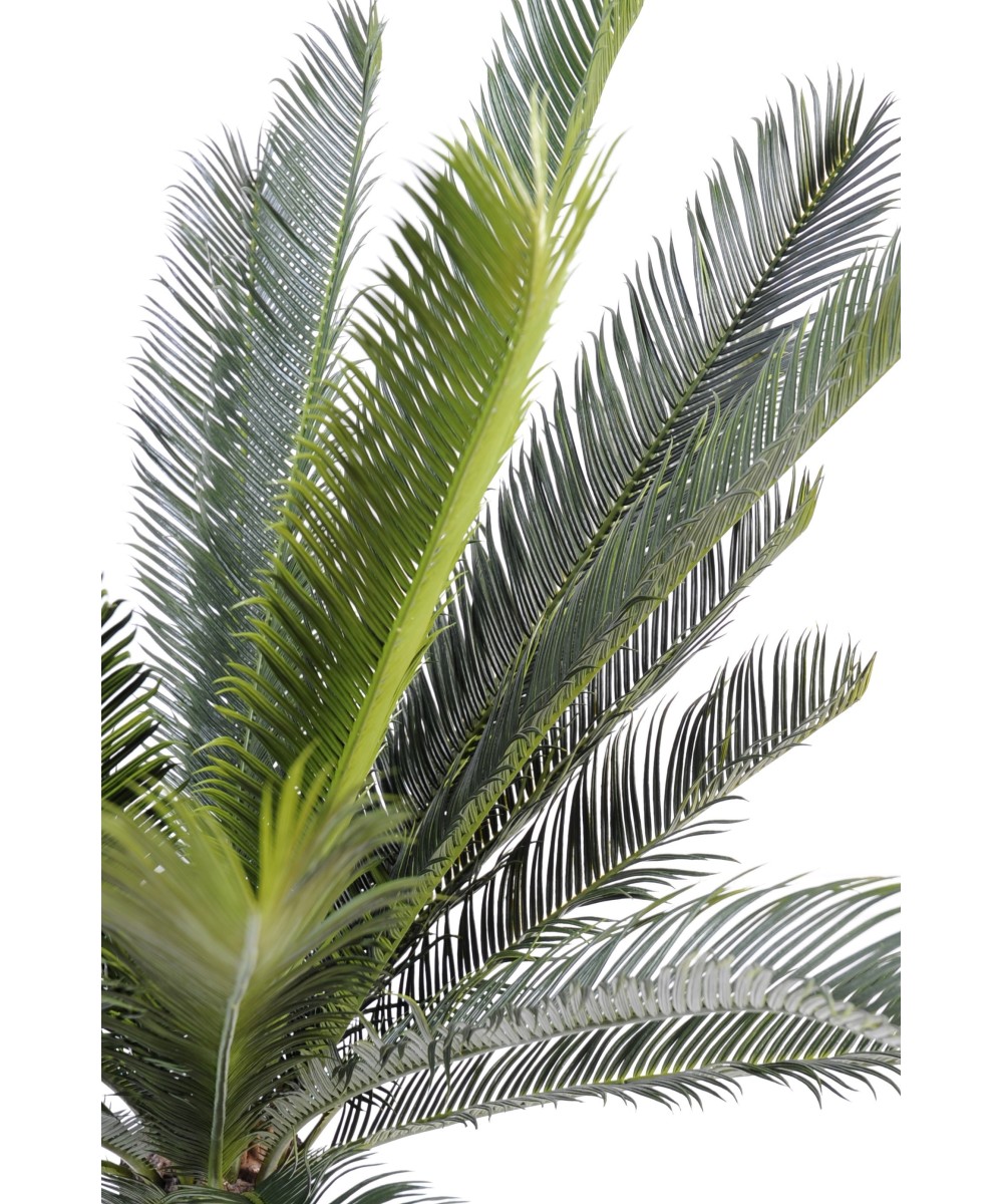 Artificial cycas TRUNK