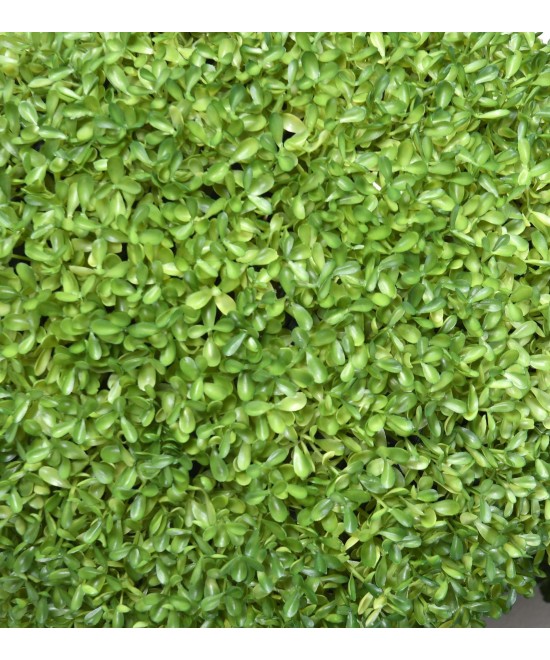Artificial BOXWOOD SEMPERVIRENS BALL