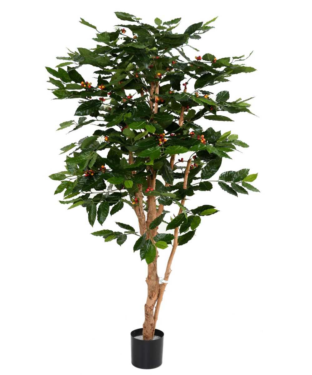 Artificial coffee tree BLOSSOM GNARLED TRUNKS