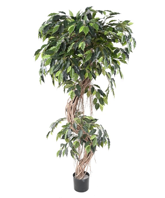 Kunstficus S