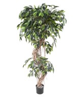 Kunstficus S