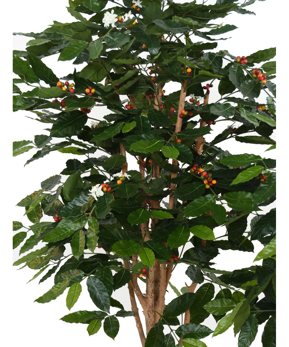 Artificial coffee tree BLOSSOM GNARLED TRUNKS