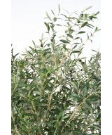 Artificial OLIVE TREE LARGE OL